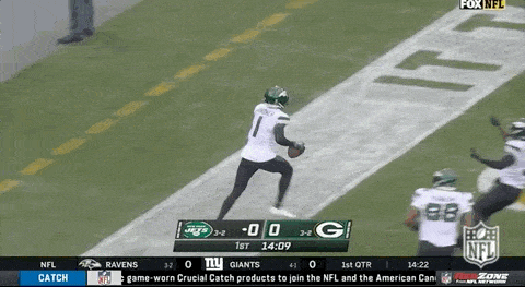 Best Catch in Nfl History Gif