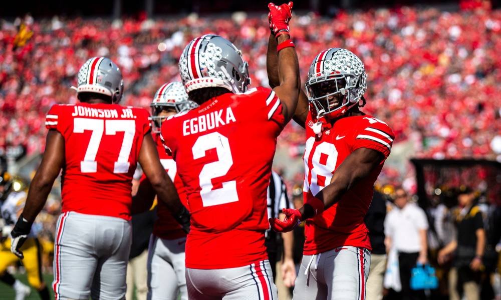 Best Ohio State Wide Receivers in the Nfl
